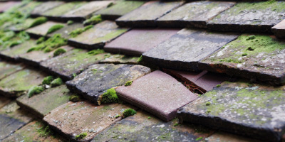 Fleet Marston roof repair costs